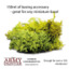 Summer Undergrowth (2019)