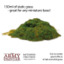 Field Grass (2019)