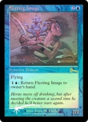 Fleeting Image - Foil