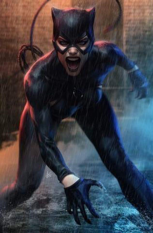 Catwoman #11 Var Ed (STL117495)