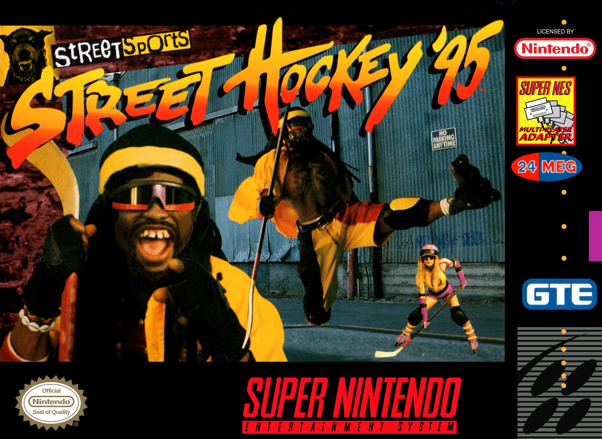 Street Hockey 95