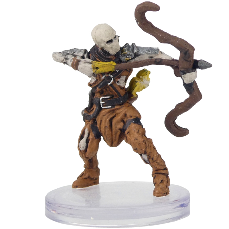 Human Skeleton