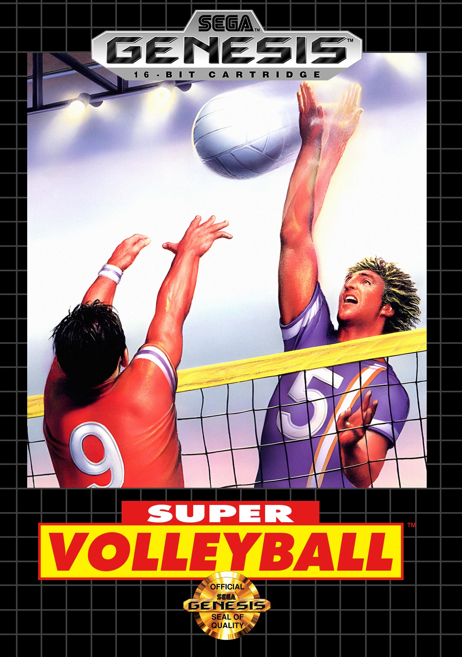 Super Volleyball