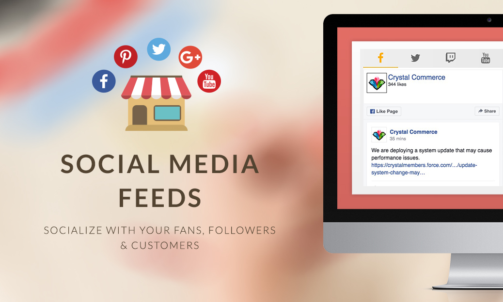 Social Media Feeds Widget