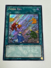 Fossil Dig - SGX4-ENC14 - Secret Rare - 1st Edition