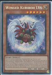Winged Kuriboh LV6 - BLTR-EN001 - Secret Rare - 1st Edition