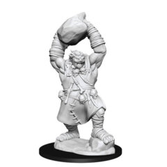 Pathfiner Battles: Ogre