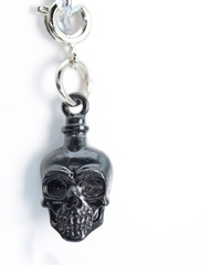 Traveler's Trinkets: Poison Potion Charm