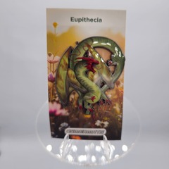 Eupithecia Fairy Dragon Enamel Pin
