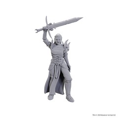 D&D Nolzurs Marvelous Miniatures: Unpainted Minis- Wave 25- Blackguard