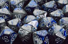 CHX26423 Gemini Polyhedral Blue-Steel / White 7 Dice Set