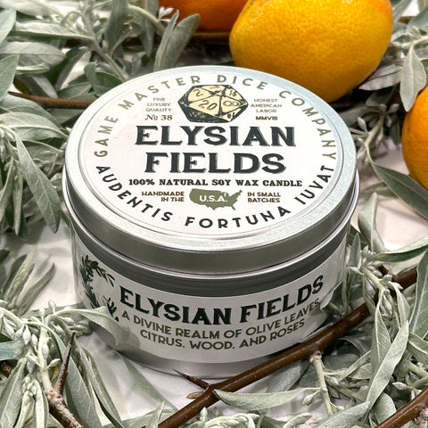 Elysian Fields Gamer Candle - 8oz