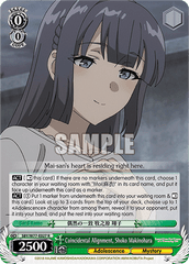 SBY/W77-E027 R Coincidental Alignment, Shoko Makinohara