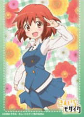 Chara Sleeve Collection No. 205 
