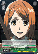 AOT/S35-E034 R 