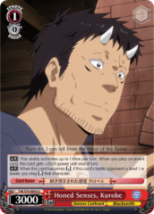 TSK/S70-E045 U Honed Senses, Kurobe