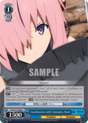 FGO/S75-E080 R Coordination with Comrades, Mash