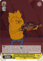 AT/WX02-016 U Jake: What Was Missing