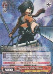 AOT/S35-E058 RR 