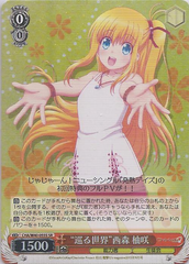 CHA/W40-055S SR 