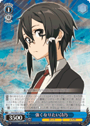 SAO/SE23-28 C Shino, Want to Become Stronger