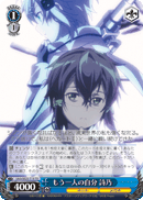 SAO/SE23-T13 TD Shino, Another Self