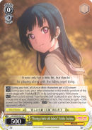 LSS/W45-E019 C 