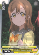 LSS/W45-E022 C 
