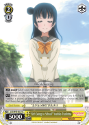 LSS/W45-E017 - U 
