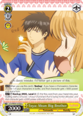 CCS/WX01-015b U  Toya: Mean Big Brother