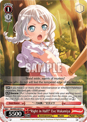 BD/W95-E075 C  