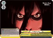 AOT/S35-E029b CC What We Should Focus On