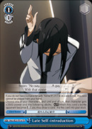 SAO/SE23-TE18	TD Late Self-introduction