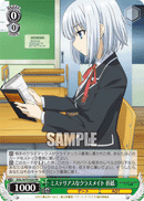 DAL/W79-026	RR Origami, Mysterious Classmate