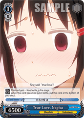 KGL/S95-E091 C True Love, Nagisa
