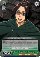 AOT/S35-E037 R 