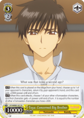 CCS/WX01-011 R  Toya: Concerned Big Brother