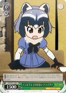 KMN/W51-048 C Common Raccoon, Can't Be at Ease