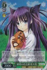 LB/WE21-14 C Sasami, Secret Self-Training - Foil
