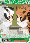 KMN/W51-041 RR Northern White-faced Owl & Eurasian Eagle Owl, Chiefs of the Island