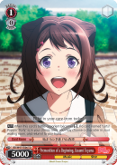 BD/W47-TE06 TD Premonition of a Beginning, Kasumi Toyama
