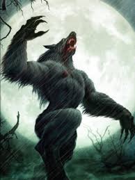 Neo Mini Deck Protector Sleeves (50 ct) - Werewolf