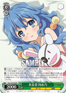 DAL/W79-028	R Yoshino, Swimsuit Look
