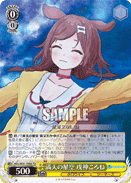 HOL/W91-T056 TD Korone Inugami, Starry Skies