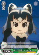 KMN/W51-T13 TD Common Raccoon, Crisis for the Park!