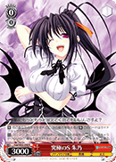 Fdd/W65-048 R Akeno, Ultimate Sadist