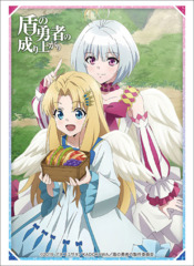 Bushiroad Sleeve Collection High-grade Vol. 2138 