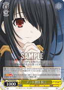 DAL/W79-016	C Kurumi, Day After the Date
