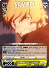 FGO/S87-E020 C  Setting Sun, Gawain