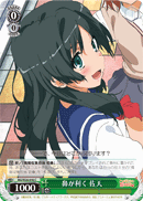 RG/W26-046 C Saten, Sharp-Nosed